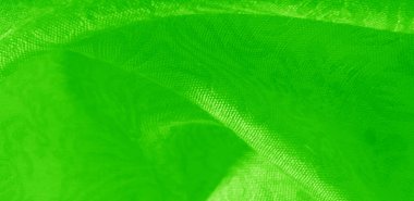 Doku arka plan desen kumaş çiçek süs yeşil. Bu co