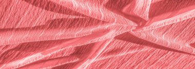 Doku, arka plan, desen, koleksiyon, buruşuk ahududu kırmızı