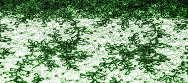 Doku, desen, beyaz bir arka plan üzerinde yeşil dantel kumaş. Th