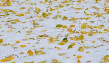 Sezonun ilk karını gece boyunca aldık.
