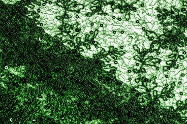 Doku, desen, beyaz bir arka plan üzerinde yeşil dantel kumaş. Th