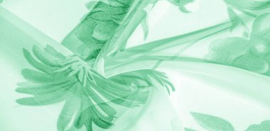 Doku arka plan, desen, duvar kağıdı. beyaz ipek kumaş, yeşil