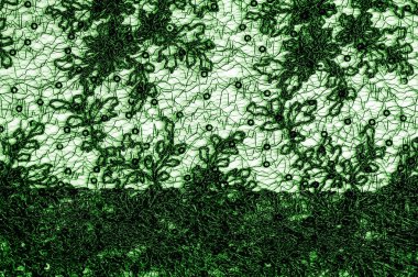 Doku, desen, beyaz bir arka plan üzerinde yeşil dantel kumaş. Th