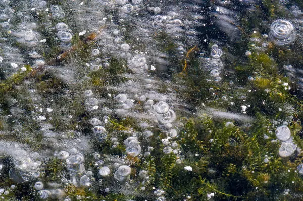 Doku deseni arka plan beyaz Kış, nehir buz hava kabarcıkları s — Stok fotoğraf