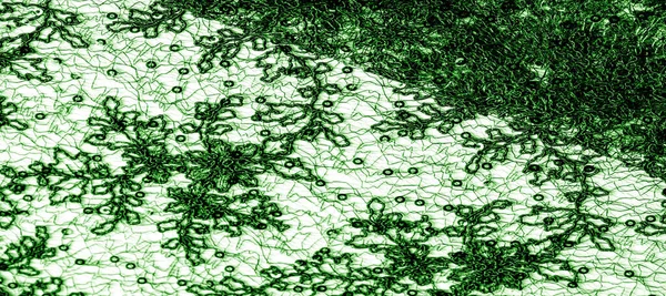 Doku, desen, beyaz bir arka plan üzerinde yeşil dantel kumaş. Th