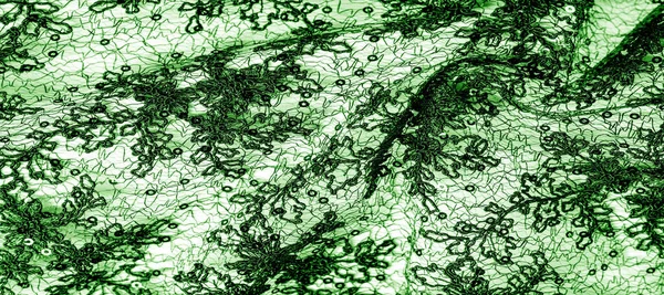 흰색 배경에 녹색의 질감, 패턴, 레이스 원단. 일 — 스톡 사진