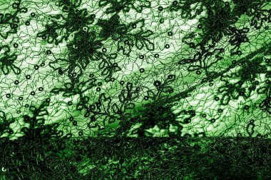 Doku, desen, beyaz bir arka plan üzerinde yeşil dantel kumaş. Th