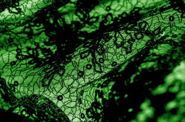 Doku, desen, beyaz bir arka plan üzerinde yeşil dantel kumaş. Th