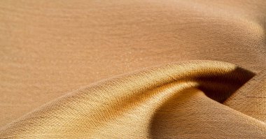 Arka plan, desen, doku, bej altın ipek kumaş Pürüzsüz mat bir kaplamaya sahiptir ve hafif bükümlü bir iplik sayesinde dayanıklıdır. Tasarımdan projelerinize kadar her şey için bu lüks kumaşı kullanın