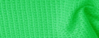 Arka plan doku deseni Metalik payetler th ile yeşil kumaş