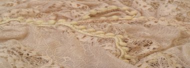 Doku, arka plan, desen, bej ipek, kadınsı, oluklu N