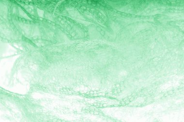 Örgü yeşilli kumaş. Sizin için ruhani parlaklık bir çizgi ekleyin