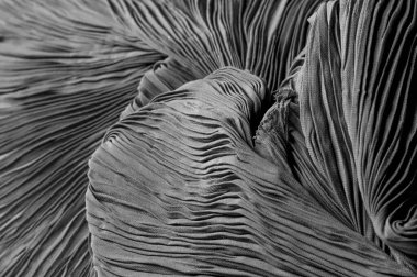 Doku, arka plan, desen, Bez Pileli Gri Siyah. Sen olabilir 