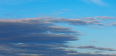 Doku arka plan, desen, duvar kağıdı. Onlar hala oldukça hig vardır