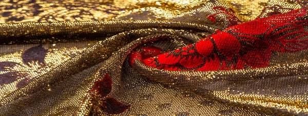 Texture, background, pattern, lace with gold sequins Elastic lac — Stock Photo, Image