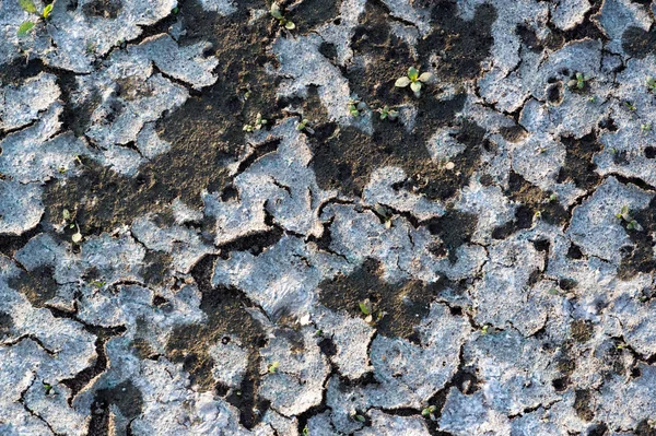 Texture, background, pattern, Earth, broken from sunlight, soil