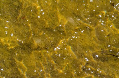 Doku deseni arka plan beyaz Kış, nehir buz hava kabarcıkları s