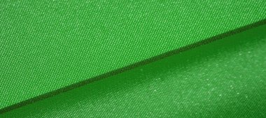 İpek kumaş, orman yeşili. Fotoğraf için tasarlanmıştır, iç, 