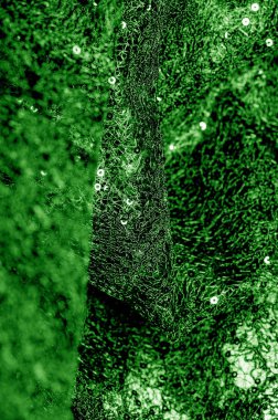 Doku, desen, beyaz bir arka plan üzerinde yeşil dantel kumaş. Th