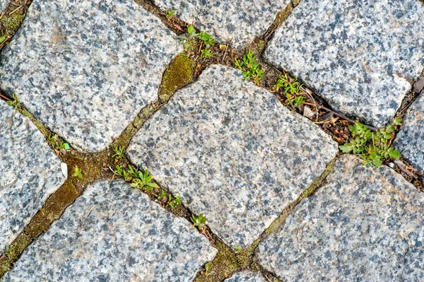 Pavimento de granito, camino, camino, pavimentación, calzada, pavimento. un muy — Foto de Stock