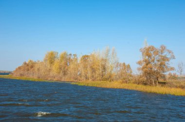 Sonbahar manzarası, nehir, rüzgarlı hava, koyu mavi su, sarı-