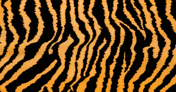 Leopard big cat cat leopard print supreme swag tiger HD phone  wallpaper  Peakpx