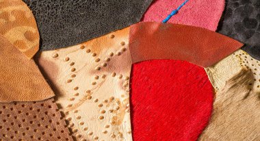 doku arka plan deseni. dekoratif hayvan derisi, parlak renk