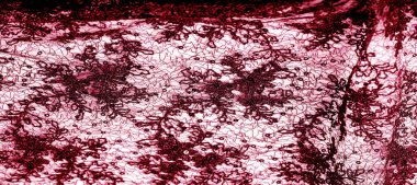 Doku, desen, beyaz bir arka plan üzerinde kırmızı dantel kumaş. Şarküteri