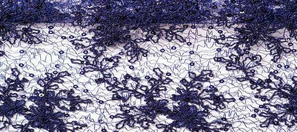 Tekstura, wzór, koronkowy błękit na białym tle. Delikatne i — Zdjęcie stockowe