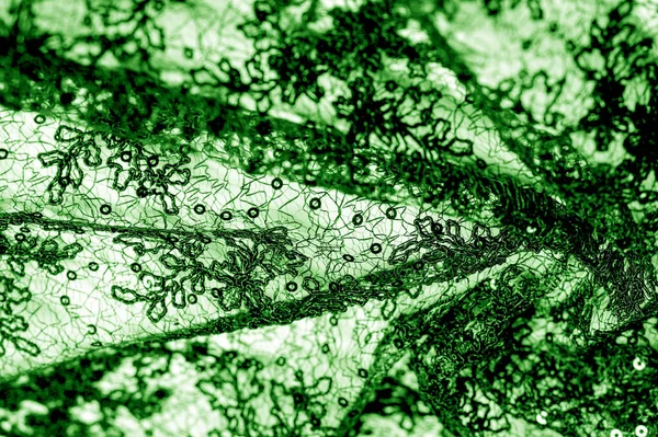 Textura, vzorek, krajka v zelené na bílém podkladu. Th — Stock fotografie