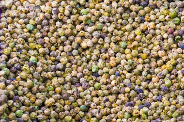 Doku Arkaplanı. Şablon. Kara biber Kurutulmuş siyah berrie