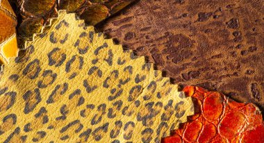 doku arka plan deseni. dekoratif hayvan derisi, parlak renk