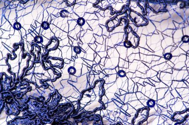 Doku, desen, beyaz bir arka plan üzerinde dantel mavi. Narin ve 