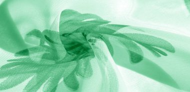 Doku arka plan, desen, duvar kağıdı. beyaz ipek kumaş, yeşil