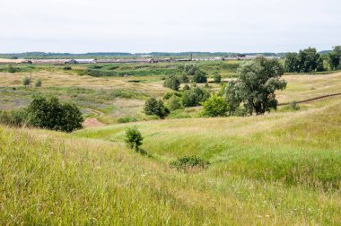 Yaz manzarası, vadi, çim filizi, karışık otlar. Küçük bir nehir.