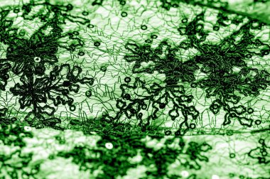 Doku, desen, beyaz bir arka plan üzerinde yeşil dantel kumaş. Th