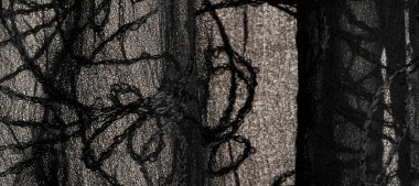 Doku arka plan deseni, ipek kumaş, siyah dantel desen, hig