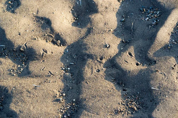 Nyári táj. A rajz a homok által létrehozott víz-és nyerj — Stock Fotó