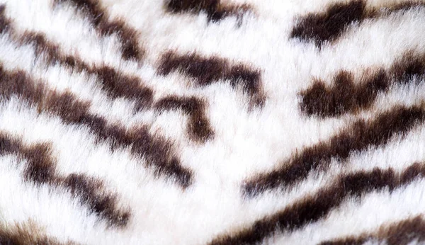 Texture, fur, Figure. Painted sheepskin under the leopard. a she