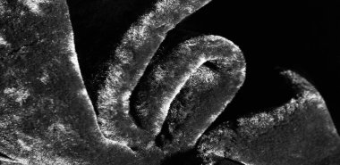 Arka plan dokusu, desen, koyun derisi leat yapmak için kullanılır