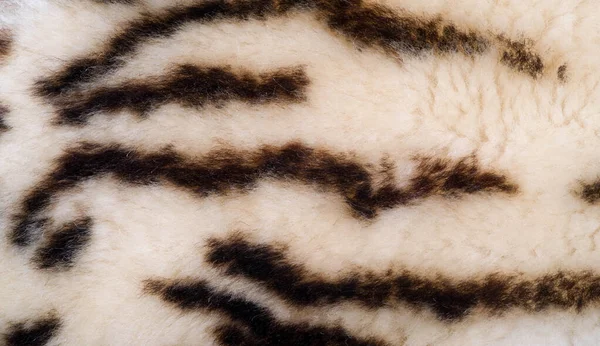 Textur, Fell, Figur. bemaltes Schaffell unter dem Leoparden. a sie — Stockfoto