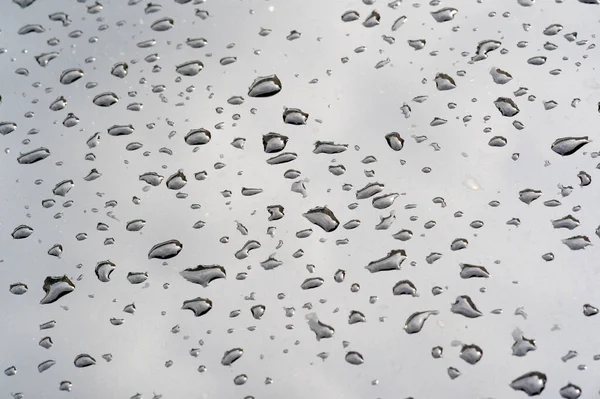 Summer rain, drops of water on the car paint. a small round or p — Stock Photo, Image