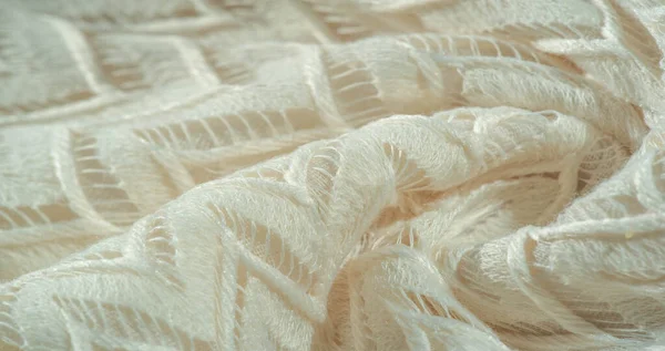 Texture, background, pattern, silk fabric, layered lace tulle, p — Stock Photo, Image