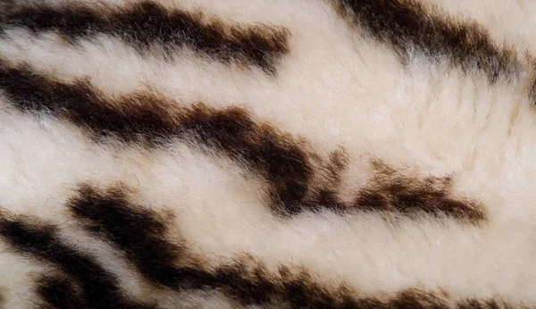 Texture, fur, Figure. Painted sheepskin under the leopard. a she
