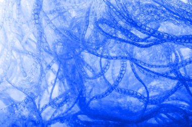 Görüntü. Doku, arka plan. Kahverengi duvar halısı. Santee Print Works 'ten, bu pamuk kumaş yorgan dikme aksanınız, tasarımınız ve dcor için mükemmel. Ten rengi ve beyaz tonlarını içerir