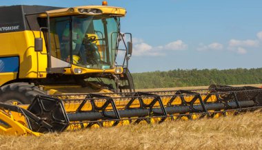 Kırsal alan. Hasat aşamasında olan tahıl hasadı.