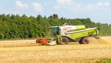Kırsal alan. Hasat aşamasında olan tahıl hasadı.