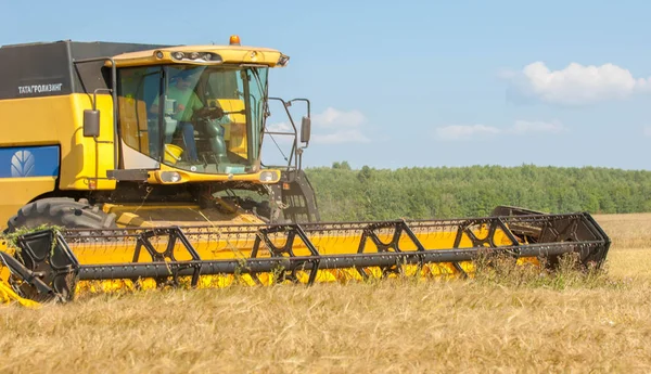 Paesaggio rurale. Raccoglitore nel processo di raccolta del grano cr — Foto Stock