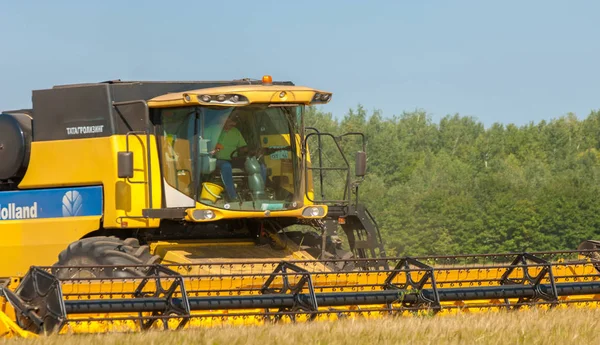 Rural landscape. Harvester in the process of harvesting grain cr — Stock Photo, Image