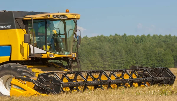 Paesaggio rurale. Raccoglitore nel processo di raccolta del grano cr — Foto Stock